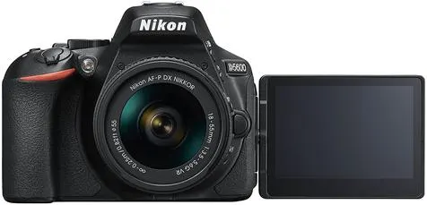 Best Cameras for Beginners in 2026